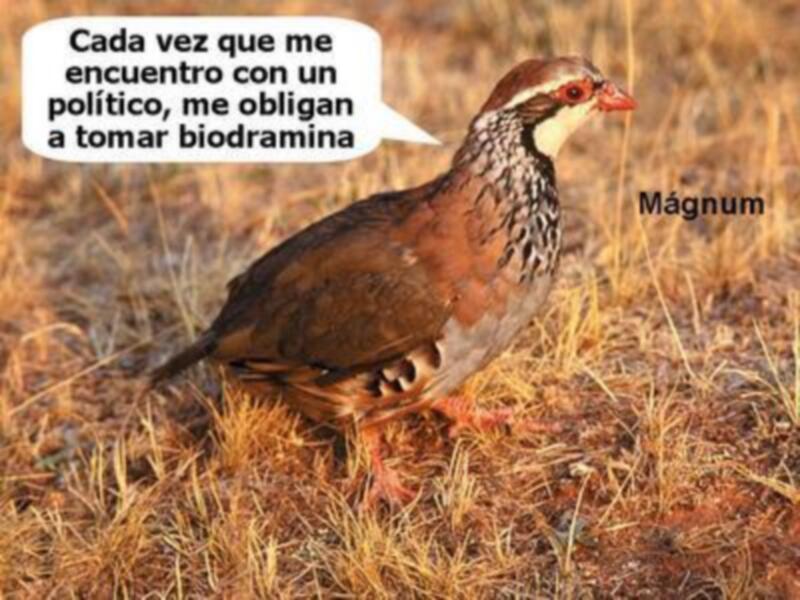 LA PERDIZ