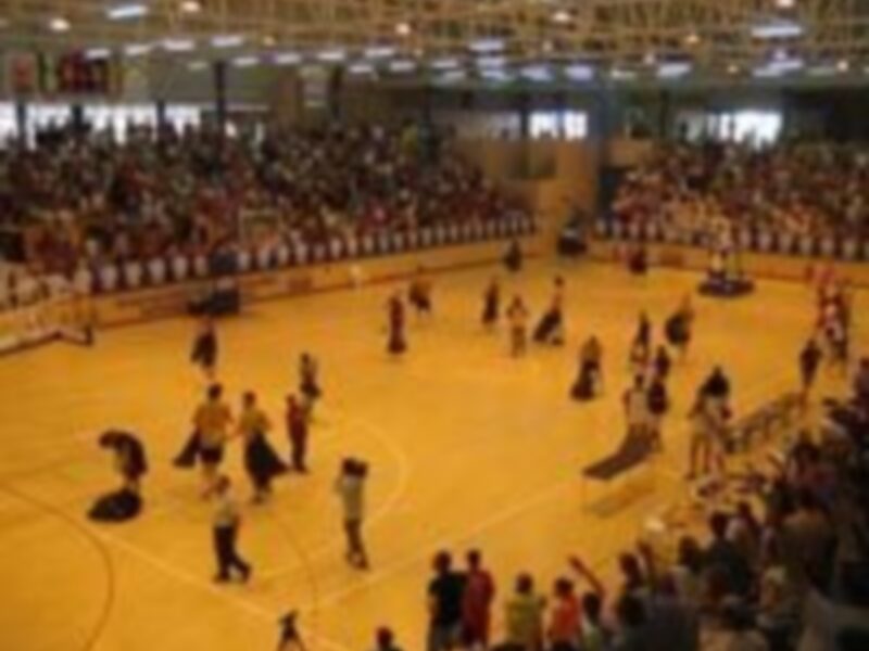 Un estadio lleno de espectadores observando una competencia deportiva en un gimnasio.