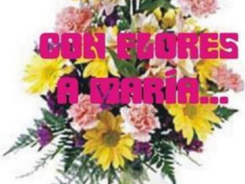 MES DE MAYO, CADA DÍA UNA FLOR DE SANTA ÁNGELA DE LA CRUZ. (XVII)