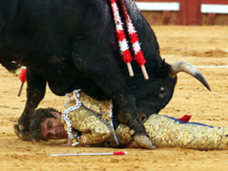 José Tomás sufre una cornada grave en el cuello en una gran faena en Jerez