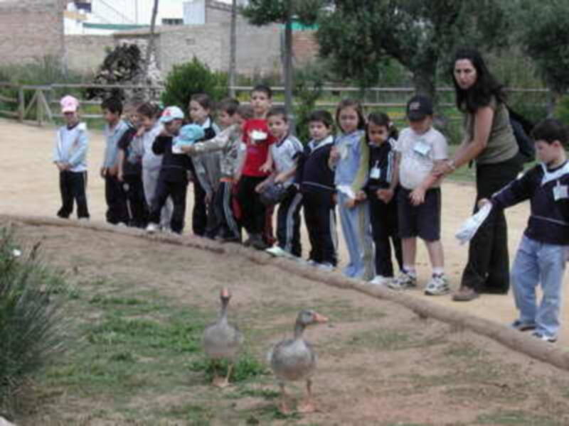 El Ayuntamiento fomenta la Educación Medioambiental para los niños y niñas de Gines 