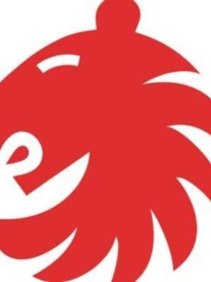 El Primer Foro Baloncesto y Literatura tendrá lugar este jueves en Madrid