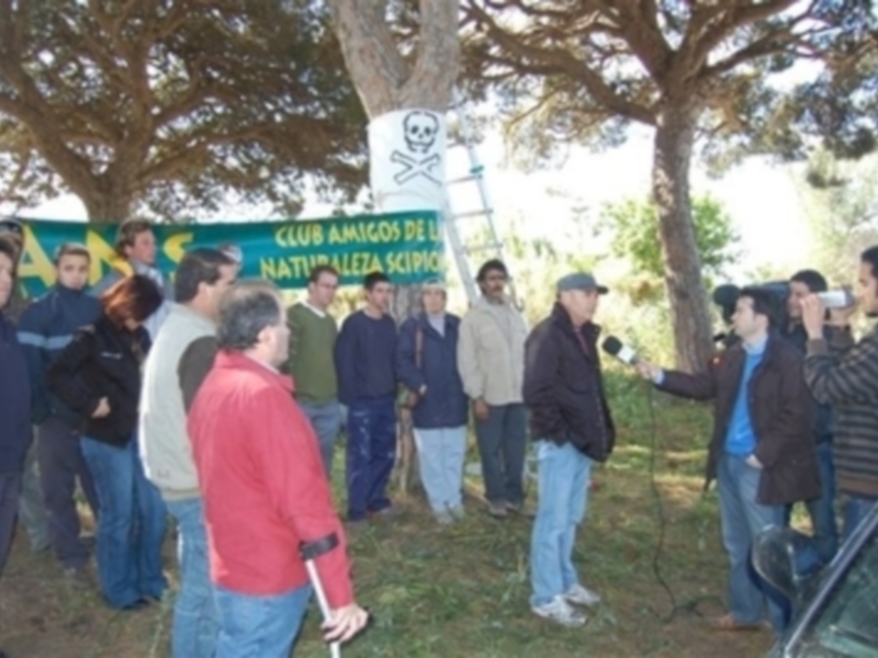 Ecologistas impiden la tala de pinos centenarios en la carretera de Chipiona-Rota