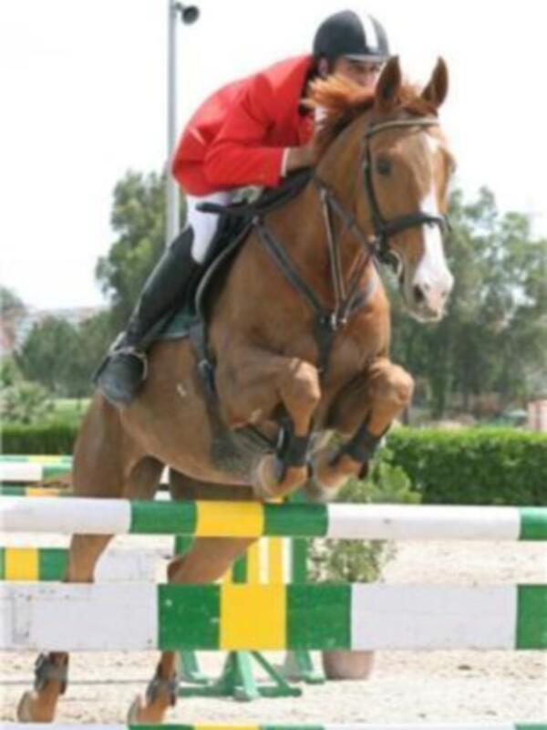 David Morera consigue el Gran Premio del Concurso de Saltos Nacional 1* de Pineda 