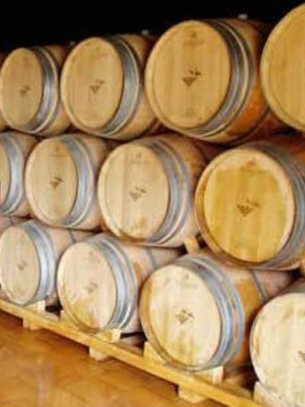 Curso de Iniciación a la Cata de vinos en tienda La Azotea