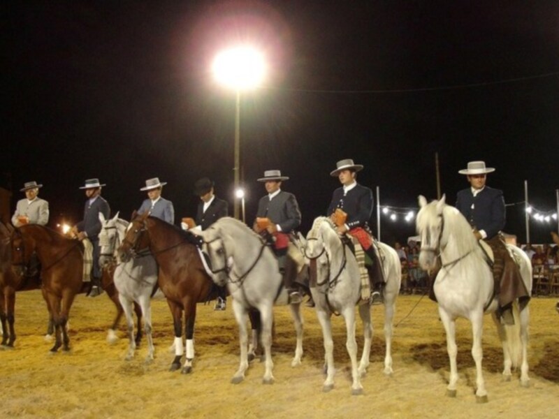 Una escena nocturna de caballos y jinetes en un campo iluminado por farolas. Los caballos están montados y los jinetes llevan sombreros tradicionales. La imagen captura una actividad deportiva o ceremonial en un entorno abierto y iluminado.