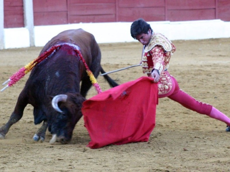 Fuertes emociones en la tercera novillada del XI Encuentro Andaluz de Escuelas de Tauromaquia de Baeza