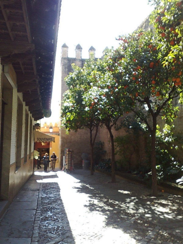 Callejón con árboles frutales y tienda de souvenirs en un entorno histórico.