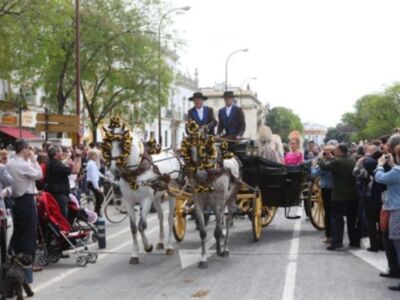 La Duquesa de Alba, con mantilla, madrina de la exhibición de enganches  