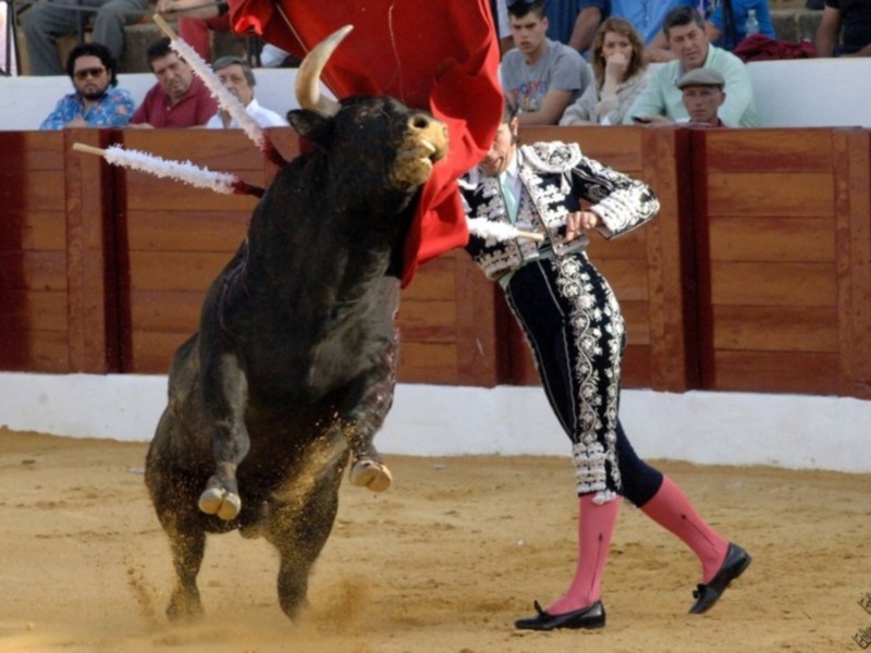 Salvador Vega, a hombros en la primera de Osuna