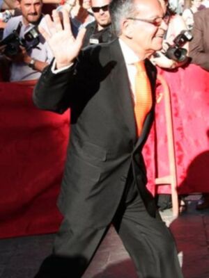 Periodistas y caras conocidas de la sociedad sevillana en la boda de Carmen Solís Tello