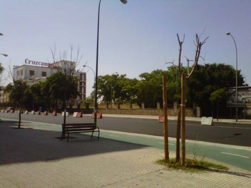 Bench in front of a building with "Cruzcampo" signage. Trees planted on the sidewalk, street signs visible in the background.