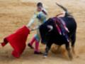 Un torero con un traje tradicional de color dorado y azul, lucha contra un toro negro en una plaza de toros. El torero sostiene una capa roja, mientras el toro se mueve furiosamente. La arena está cubierta de tierra dorada y el aire está llena de polvo.