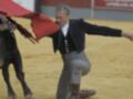 Un torero en traje tradicional sostiene un capote rojo mientras se enfrenta a un toro en una plaza de toros. La escena captura el espíritu de la tauromaquia, con el torero en acción y el toro listo para el combate.