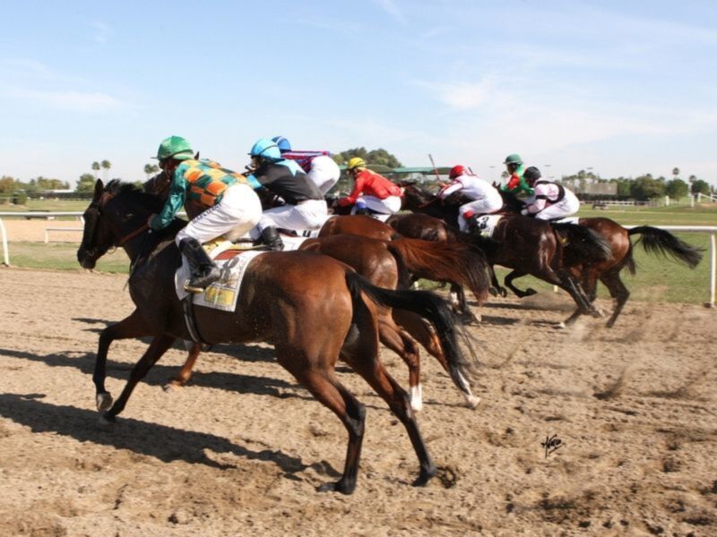Espectáculo de primer nivel en las carreras de Pineda