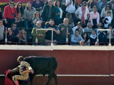El cordobés celebra el día del padre con sus tres hijos en un festival benéfico