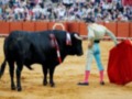 Un torero con un chaleco amarillo y pantalones azules se encuentra frente a un toro negro en una plaza de toros. El torero sostiene un capote rojo y parece estar preparándose para el combate. La arena es de tierra, y la multitud de espectadores se puede ver en el fondo detrás de una cerca roja.