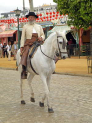 En la ciudad de los farolillos no mermaron las ganas de feria.