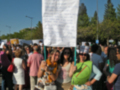 Manifestación feminista con pancartas y carteles.