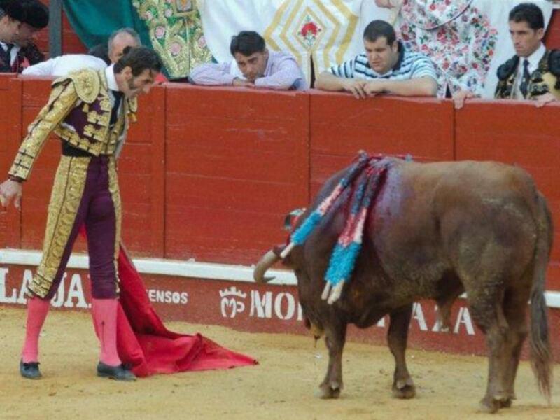 Padilla triunfa y pone banderillas con parche de diseño en un ojo