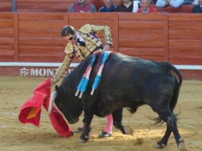 Padilla triunfa y pone banderillas con parche de diseño en un ojo