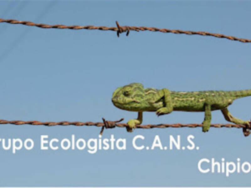 TERMINA LA XIX CAMPAÑA VERANIEGA DE PROTECCIÓN DEL CAMALEÓN(Chipiona) 