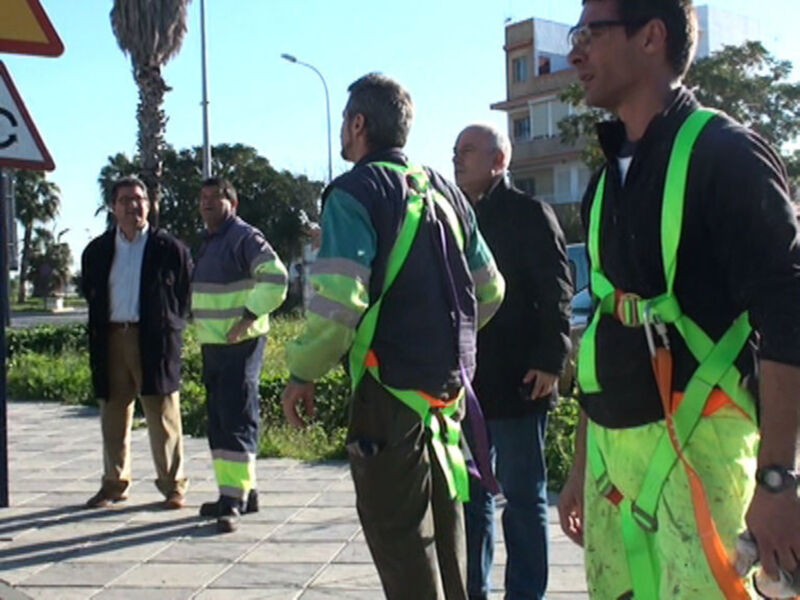 Comienza el plan de poda municipal que da empleo a 33 desempleados antes de navidad(Chipiona)