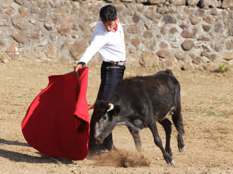 Diego Silveti sigue sumando fechas