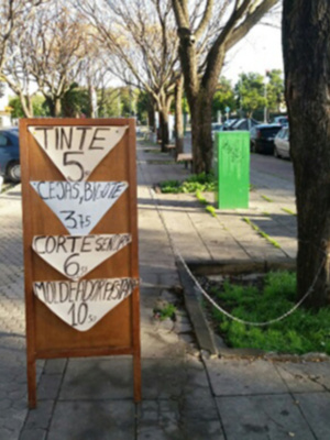 El árbol como soporte y punto de información