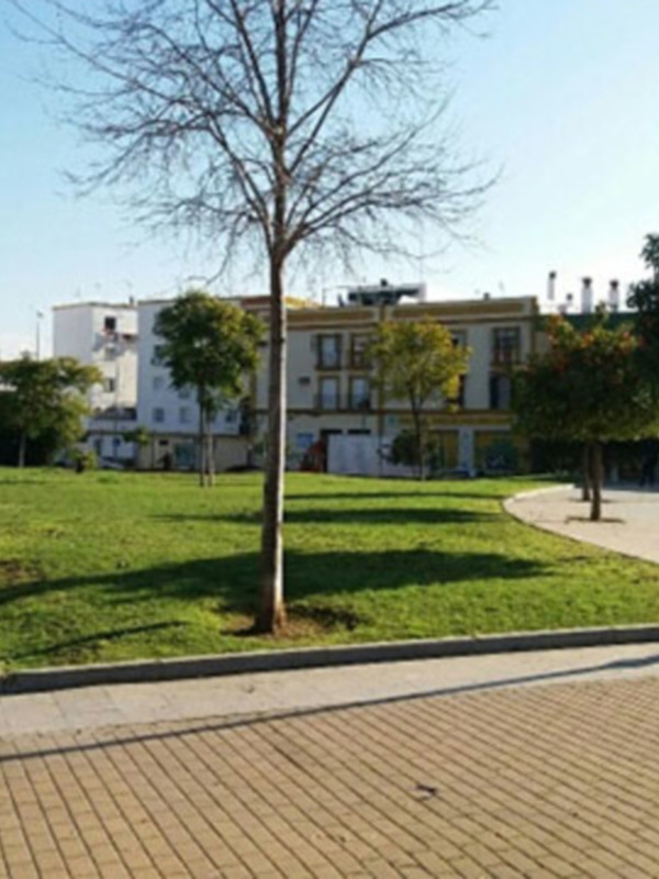 Sevilla a nivel europeo en superficie de zona verde por habitante.