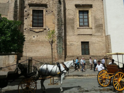 Coches de caballos en Sevilla