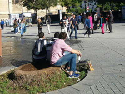 Hoy 8 de Noviembre finaliza el plazo para la presentación de ofertas para el concurso público de conservación y mantenimiento de las zonas verdes