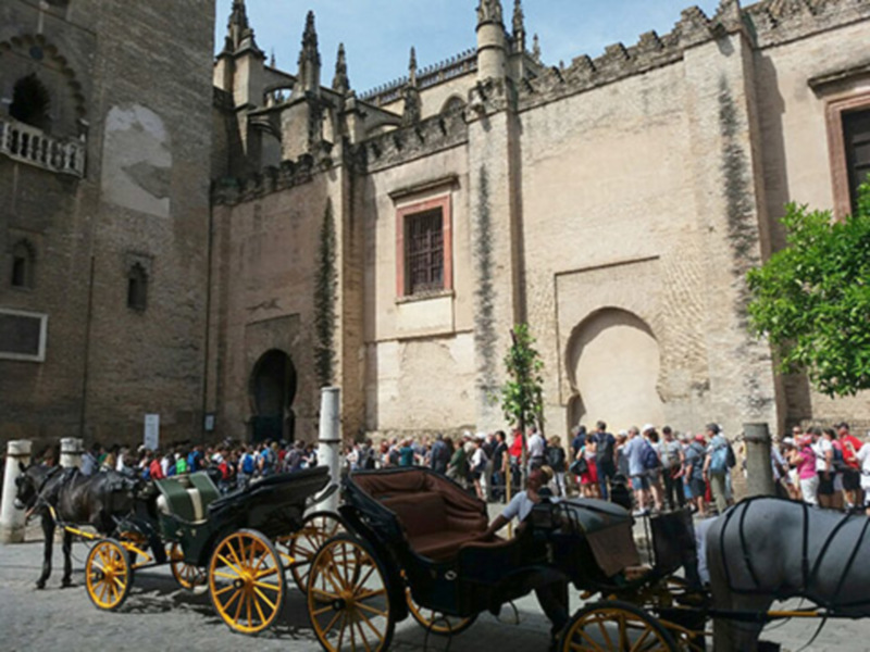 Colas y más colas