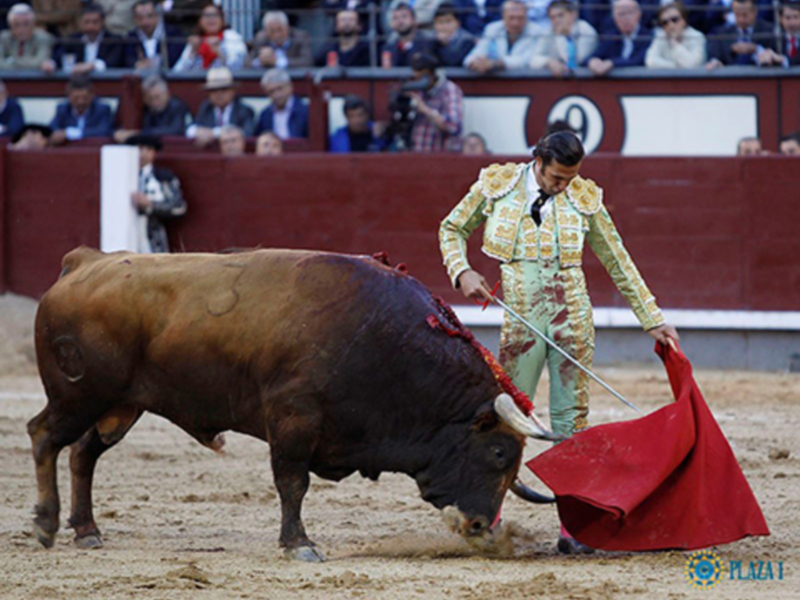 David Mora corta una oreja en la octava de abono
