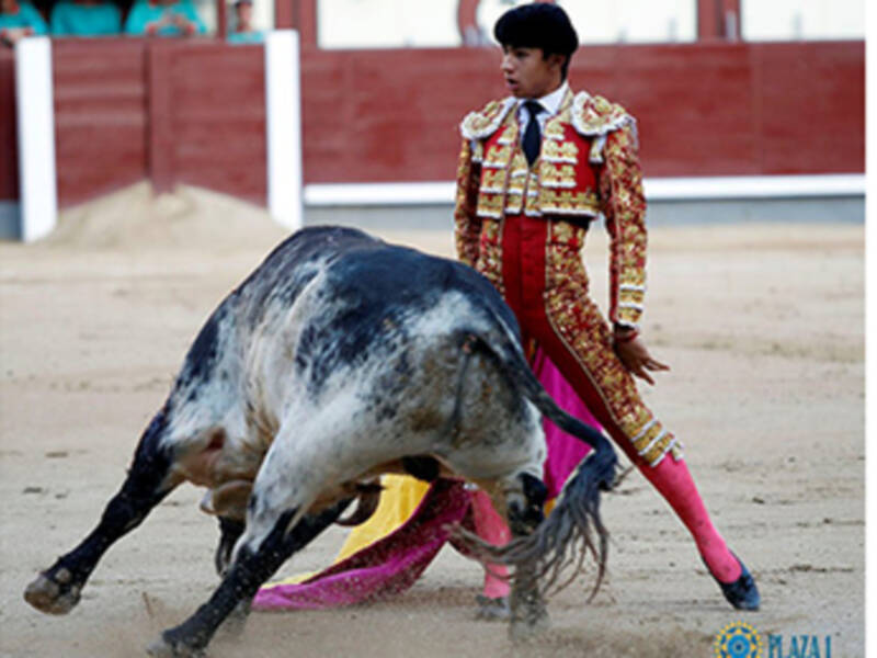 Jesús Enrique Colombo da una vuelta al ruedo en su presentación en Las Ventas