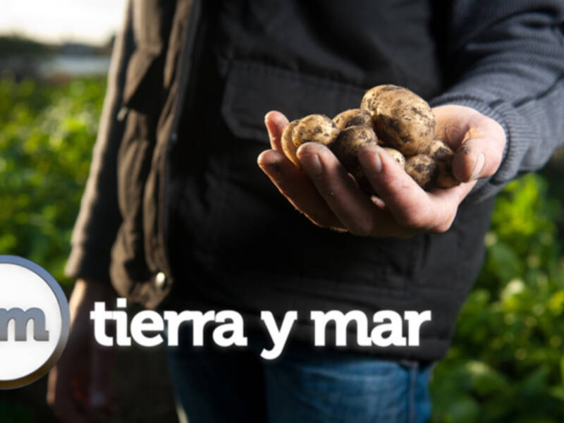 "Tierra y Mar" se hace eco de la polémica de la producción de la patata nueva