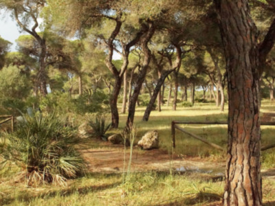 Prohibido hacer fuego en espacios forestales