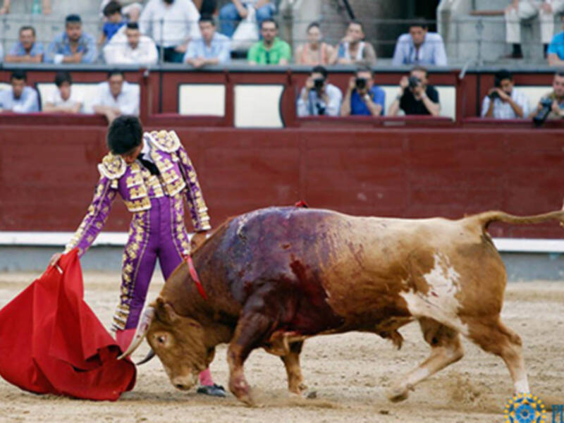 Novillada de triunfadores Madrid, 18 de junio de 2017.