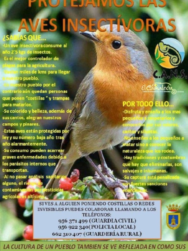 Denunciado en Chipiona un vecino de Sanlúcar de Barrameda por caza ilegal de aves