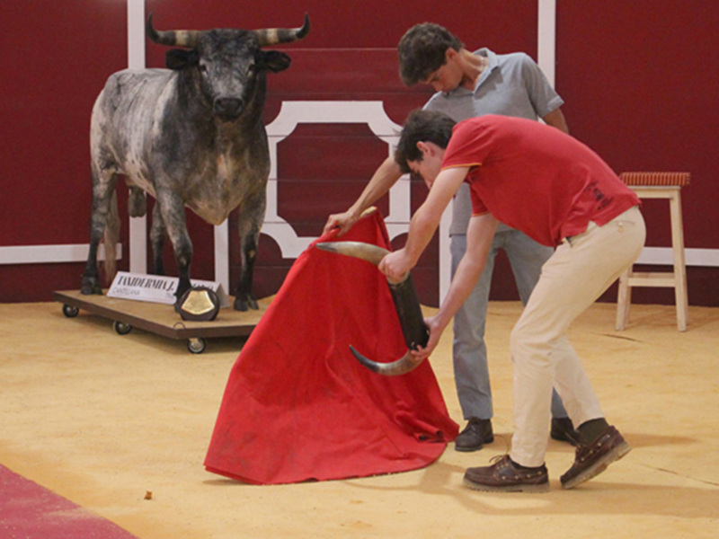 La Feria de Turismo Taurino 'Territorio Toro' registra más de 3.000 visitas