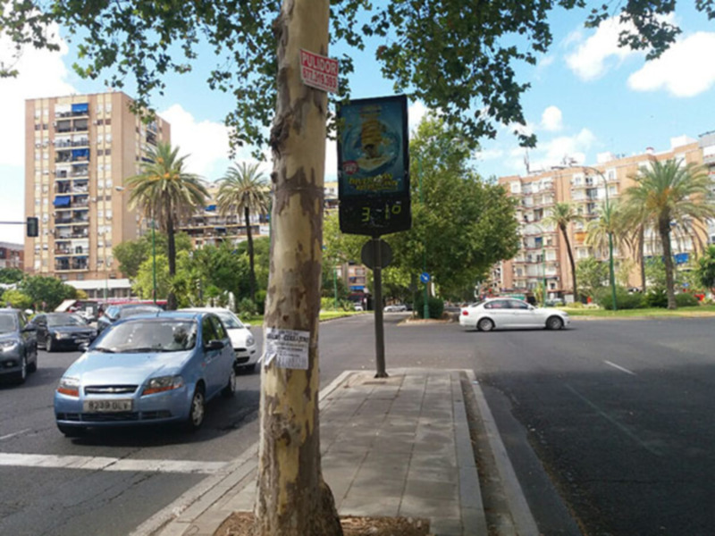 Publicidad en el arbolado urbano