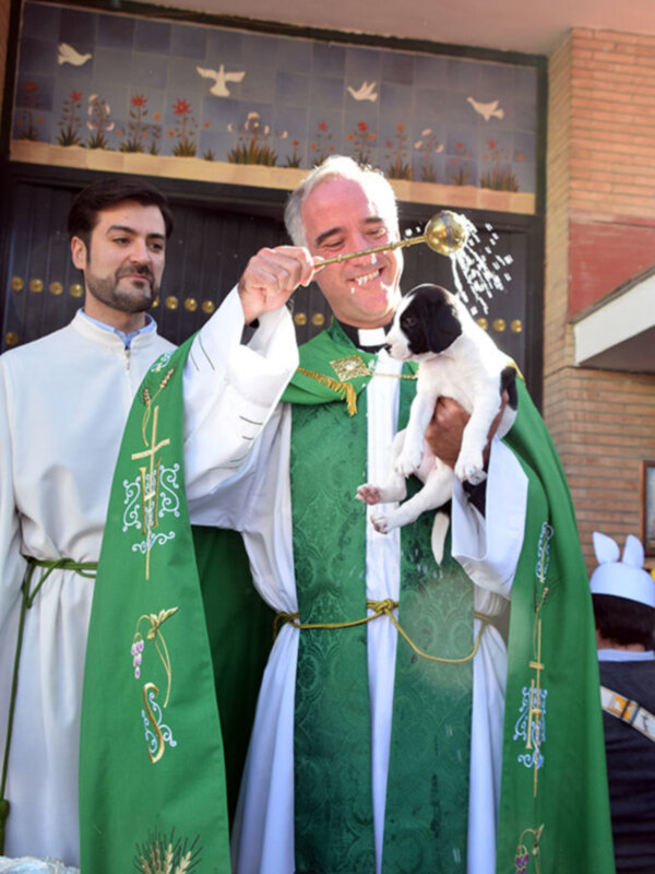 En la parroquia de Pio XII se celebró la bendición de animales por el día de su patrón.