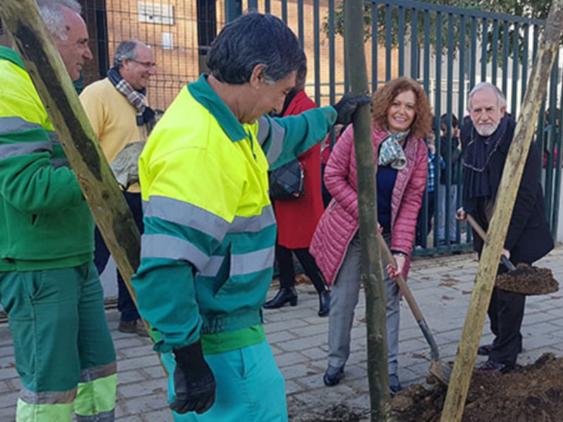 Se acelera la plantación de árboles