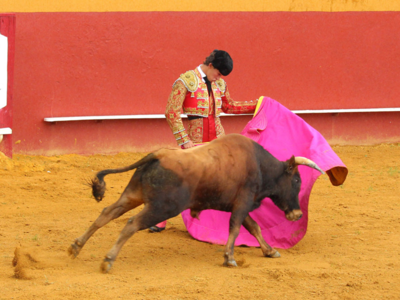 Manolo Vázquez debutaba de luces sin picadores en Cazalla
