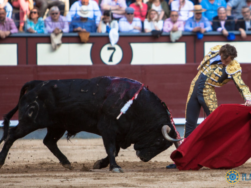 La primera parte de la corrida de Fuente Ymbro tuvo emoción y Román perdió oreja con los aceros ante el bravo segundo.
