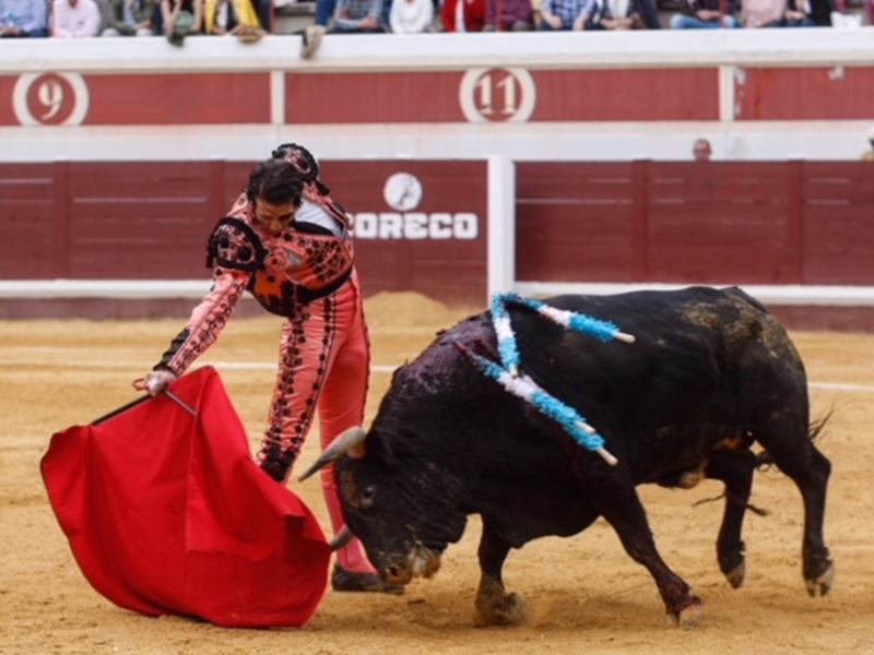 Padilla y Cayetano cortan tres orejas en Lucena