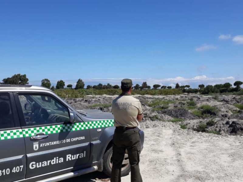 Desmontadas por la Guardería Rural de Chipiona dos redes para la caza ilegal de aves insectívoras