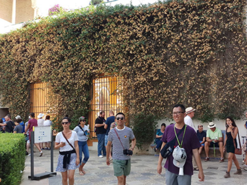 Las plantas están sufriendo un duro verano con calor, plagas y enfermedades no habituales
