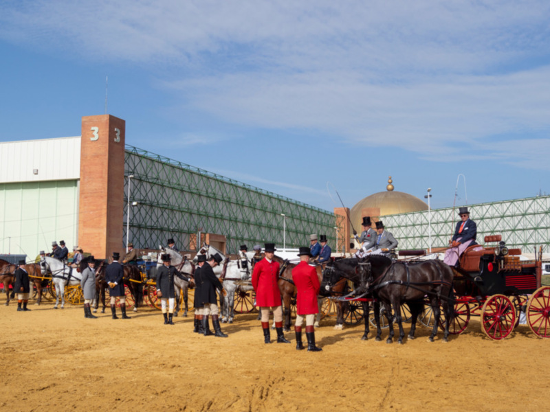 Sicab acoge con éxito el IV Concurso de Enganches de Tradición