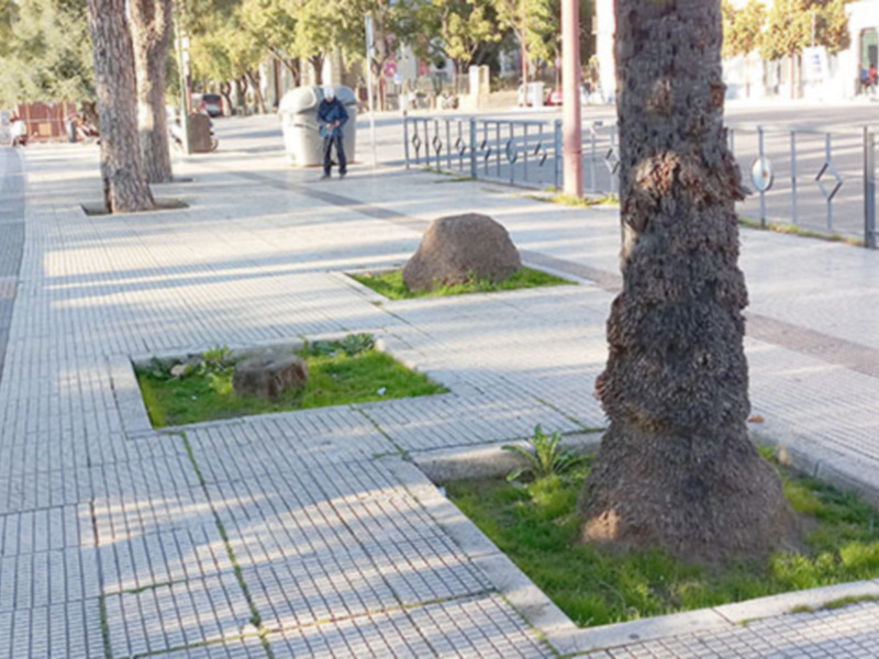 Alcorques vacíos en acerados transitados
